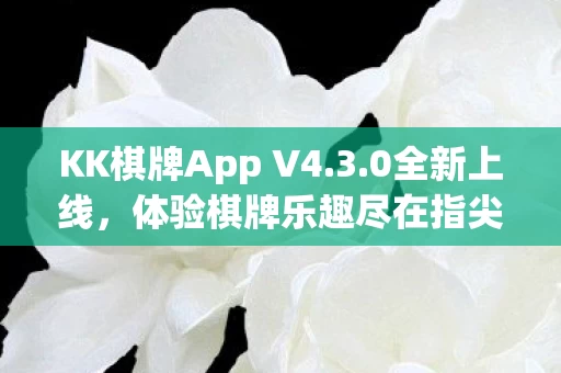 KK棋牌App V4图片