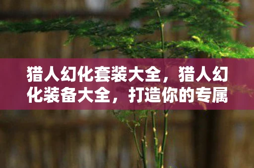 猎人幻化套装大全，猎人幻化装备大全，打造你的专属猎人形象