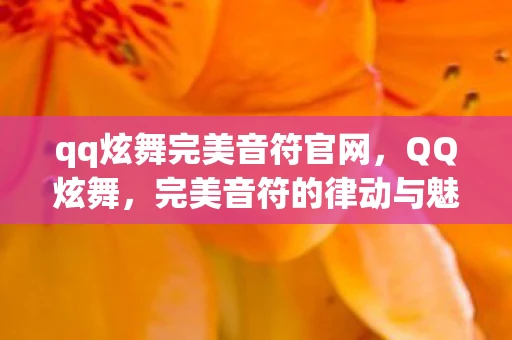 qq炫舞完美音符官网，QQ炫舞，完美音符的律动与魅力