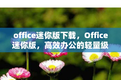 office迷你版下载，Office迷你版，高效办公的轻量级解决方案