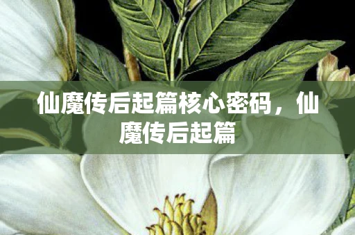 仙魔传后起篇核心密码，仙魔传后起篇