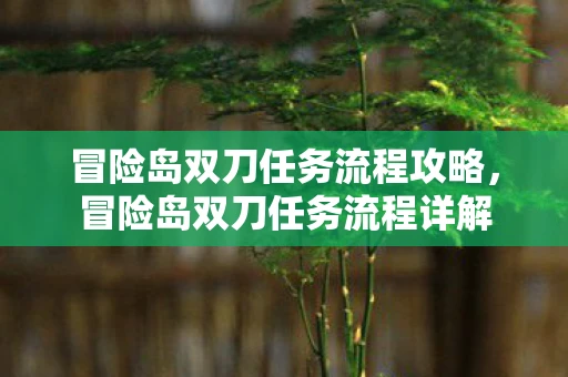 冒险岛双刀任务流程攻略，冒险岛双刀任务流程详解