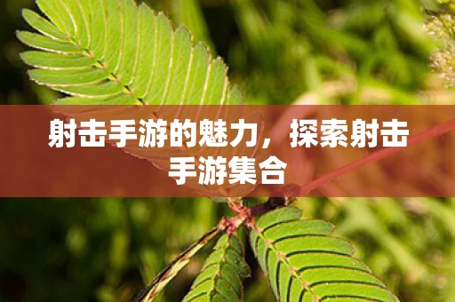 探索射击手游集合图片
