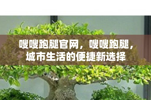 嗖嗖跑腿官网，嗖嗖跑腿，城市生活的便捷新选择