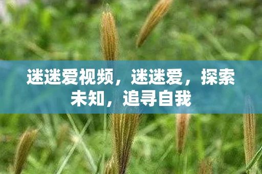迷迷爱视频，迷迷爱，探索未知，追寻自我