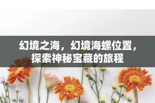 幻境之海，幻境海螺位置，探索神秘宝藏的旅程