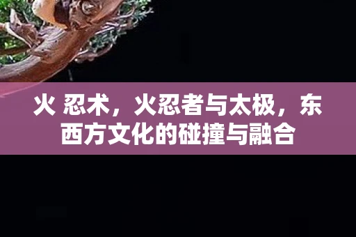 火 忍术,火忍者与太极,东西方文化的碰撞与融合 火 忍术,火忍者与太极,东西方文化的碰撞与融合