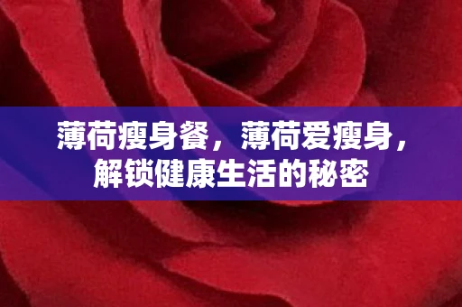 薄荷瘦身餐，薄荷爱瘦身，解锁健康生活的秘密