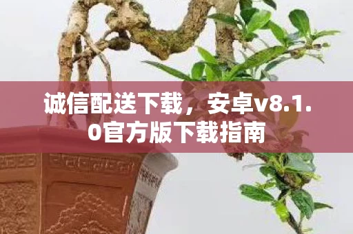 0官方版下载指南图片