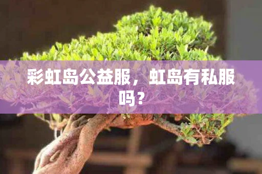 彩虹岛公益服,虹岛有私服吗? 彩虹岛公益服,虹岛有私服吗?