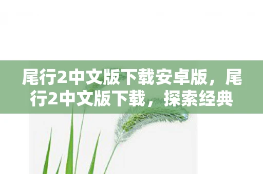 尾行2中文版下载安卓版，尾行2中文版下载，探索经典游戏的魅力