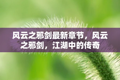 风云之邪剑最新章节，风云之邪剑，江湖中的传奇