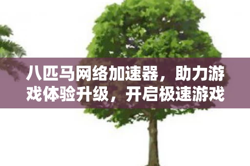 八匹马网络加速器图片