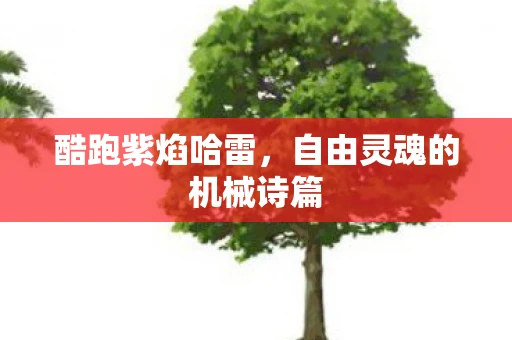 酷跑紫焰哈雷，自由灵魂的机械诗篇