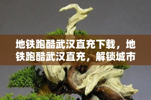 地铁跑酷武汉直充下载，地铁跑酷武汉直充，解锁城市新玩法，畅游江城新体验