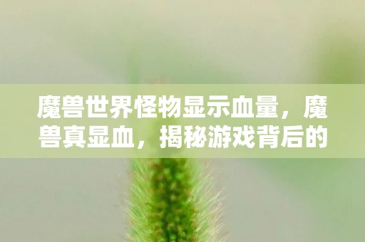 魔兽世界怪物显示血量，魔兽真显血，揭秘游戏背后的真实故事