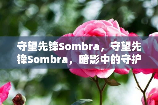守望先锋Sombra，守望先锋Sombra，暗影中的守护者