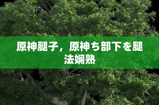 原神腿子，原神ち部下を腿法娴熟