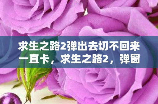 求生之路2弹出去切不回来一直卡，求生之路2，弹窗背后的生存智慧