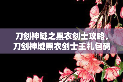 刀剑神域之黑衣剑士攻略，刀剑神域黑衣剑士王礼包码全解析