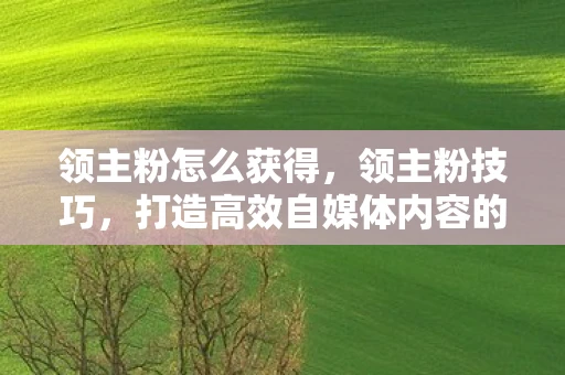 领主粉怎么获得，领主粉技巧，打造高效自媒体内容的关键策略