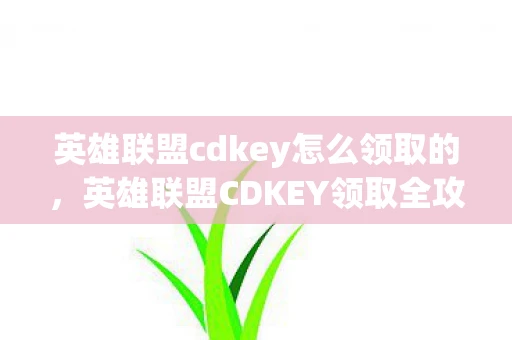 英雄联盟cdkey怎么领取的，英雄联盟CDKEY领取全攻略，轻松获取游戏福利与奖励