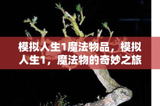 模拟人生1魔法物品，模拟人生1，魔法物的奇妙之旅