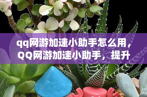 qq网游加速小助手怎么用，QQ网游加速小助手，提升游戏体验的必备神器
