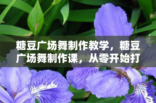 糖豆广场舞制作教学,糖豆广场舞制作课,从零开始打造你的专属舞蹈视频 糖豆广场舞制作教学,糖豆广场舞制作课,从零开始打造你的专属舞蹈视频