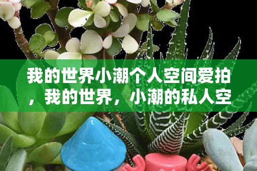 我的世界小潮个人空间爱拍，我的世界，小潮的私人空间