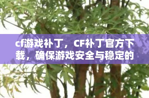cf游戏补丁,CF补丁官方下载,确保游戏安全与稳定的必备工具 cf游戏补丁,CF补丁官方下载,确保游戏安全与稳定的必备工具