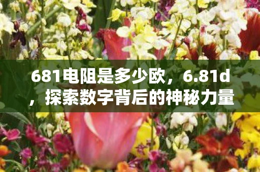 681电阻是多少欧,6.81d,探索数字背后的神秘力量 681电阻是多少欧,6.81d,探索数字背后的神秘力量