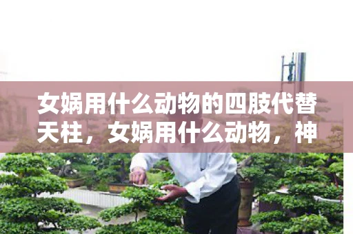 女娲用什么动物的四肢代替天柱，女娲用什么动物，神话与文化的交织