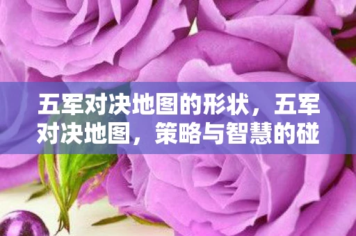 五军对决地图的形状,五军对决地图,策略与智慧的碰撞 五军对决地图的形状,五军对决地图,策略与智慧的碰撞