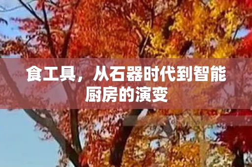 食工具,从石器时代到智能厨房的演变 食工具,从石器时代到智能厨房的演变