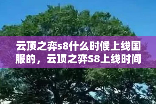 云顶之弈s8什么时候上线国服的，云顶之弈S8上线时间详解，国服何时能体验新版本？