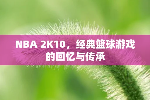 NBA 2K10，经典篮球游戏的回忆与传承