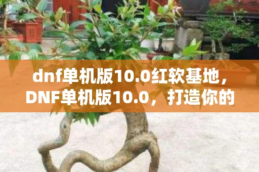dnf单机版10.0红软基地，DNF单机版10.0，打造你的专属地下城冒险