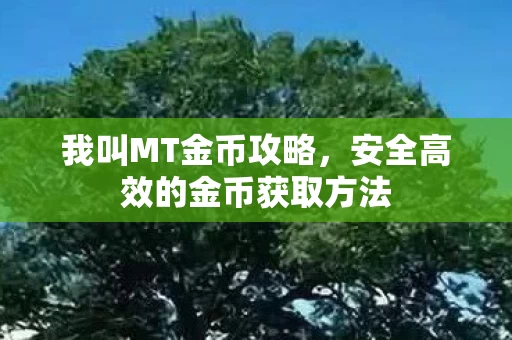 安全高效的金币获取方法图片