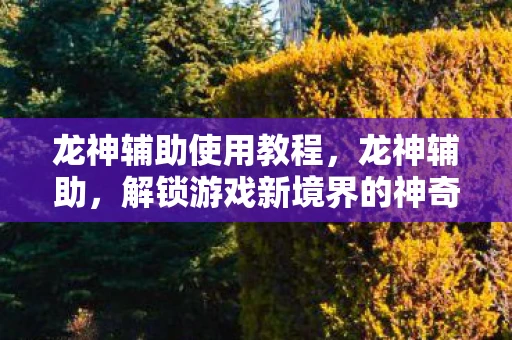 龙神辅助使用教程,龙神辅助,解锁游戏新境界的神奇工具 龙神辅助使用教程,龙神辅助,解锁游戏新境界的神奇工具