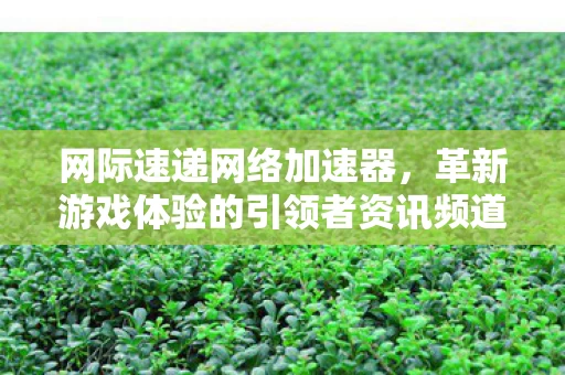革新游戏体验的引领者资讯频道图片