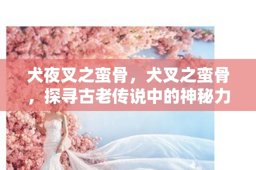 犬夜叉之蛮骨，犬叉之蛮骨，探寻古老传说中的神秘力量