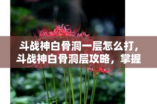 斗战神白骨洞一层怎么打，斗战神白骨洞层攻略，掌握技巧，轻松通关
