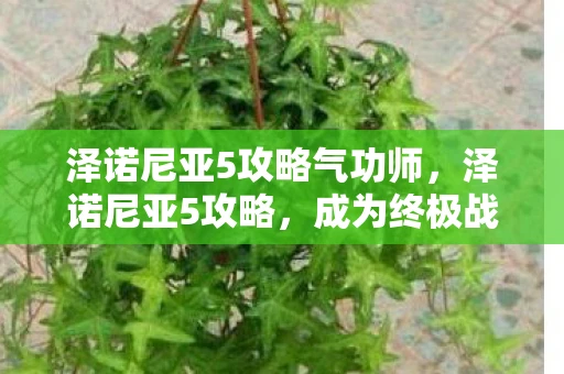 泽诺尼亚5攻略气功师，泽诺尼亚5攻略，成为终极战士的秘诀