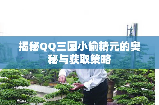 揭秘QQ三国小偷精元的奥秘与获取策略图片
