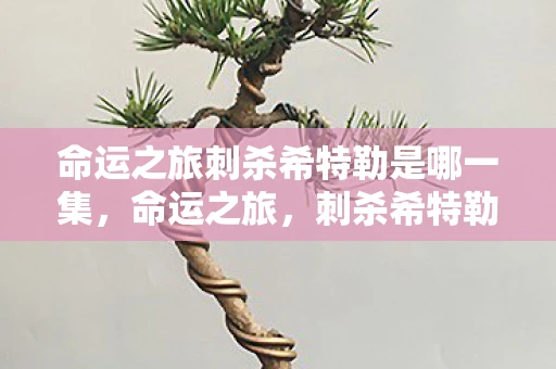 命运之旅刺杀希特勒是哪一集，命运之旅，刺杀希特勒的惊险历程