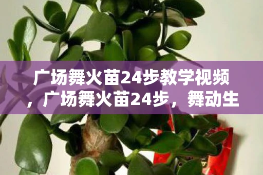 广场舞火苗24步教学视频,广场舞火苗24步,舞动生活的艺术 广场舞火苗24步教学视频,广场舞火苗24步,舞动生活的艺术