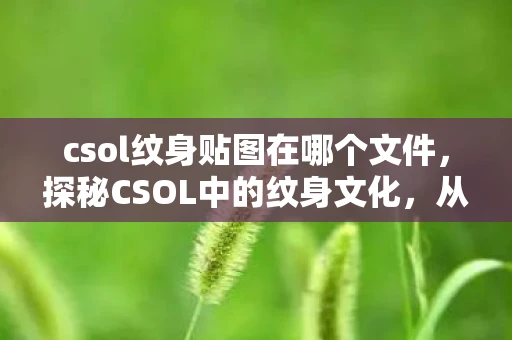 csol纹身贴图在哪个文件，探秘CSOL中的纹身文化，从虚拟到现实的时尚潮流