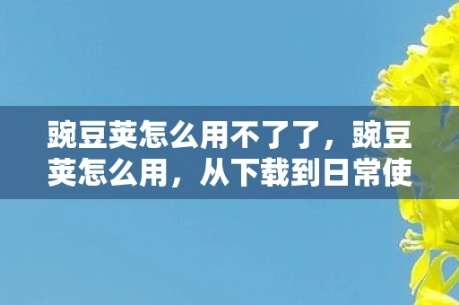 豌豆荚怎么用不了了，豌豆荚怎么用，从下载到日常使用的全面指南
