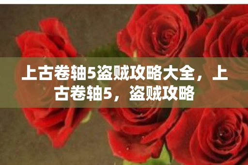 上古卷轴5盗贼攻略大全，上古卷轴5，盗贼攻略